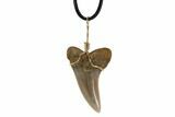 Fossil Mako Tooth Necklace - Bakersfield, California #95259-1
